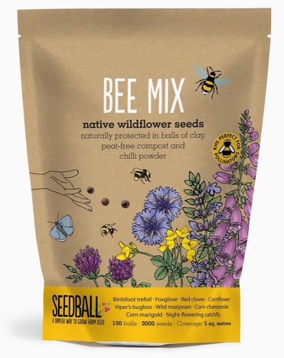 Seedball Wildflower Grab Bags   Bee Mix