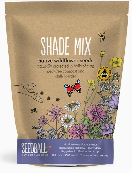 Seedball Wildflower Grab Bags   Shade Mix