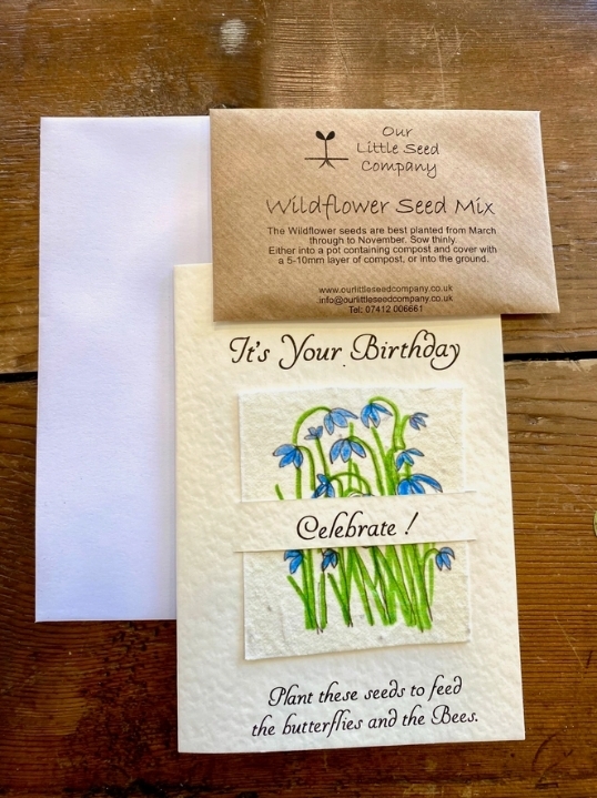 Seeded greetings card Birthday   Wild Blue Flowers