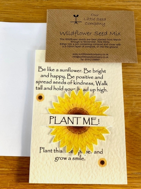Seeded greetings card Friendship   Sunflower