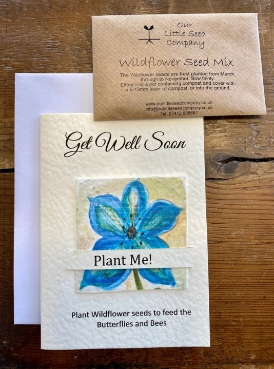 Seeded greetings card Get Well   Blue Flower