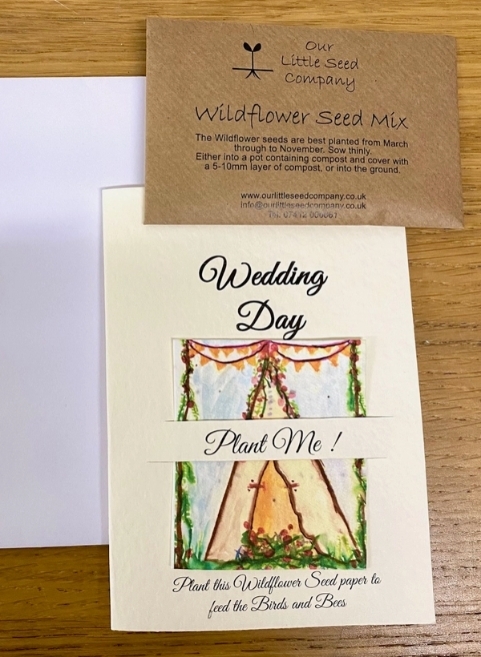 Seeded greetings card Wedding Day   Tepee