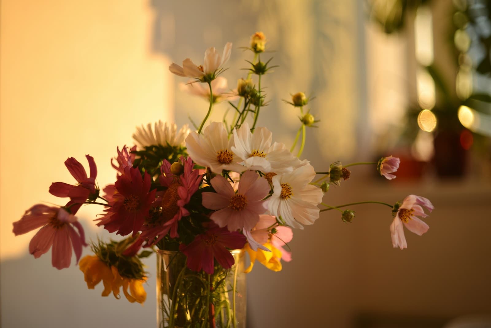Freshly cut flowers standing in a clear glass vase of water beside a sunlit window