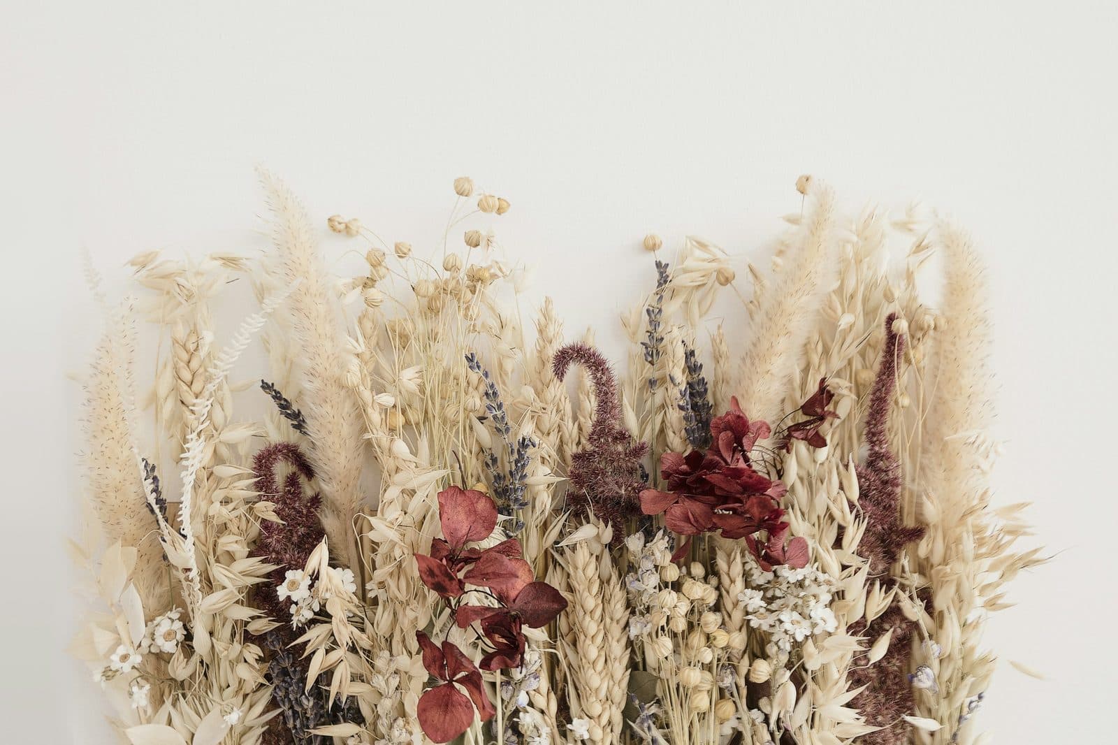 Arrangement of dried and preserved flowers in soft neutral tones, lit by gentle natural light