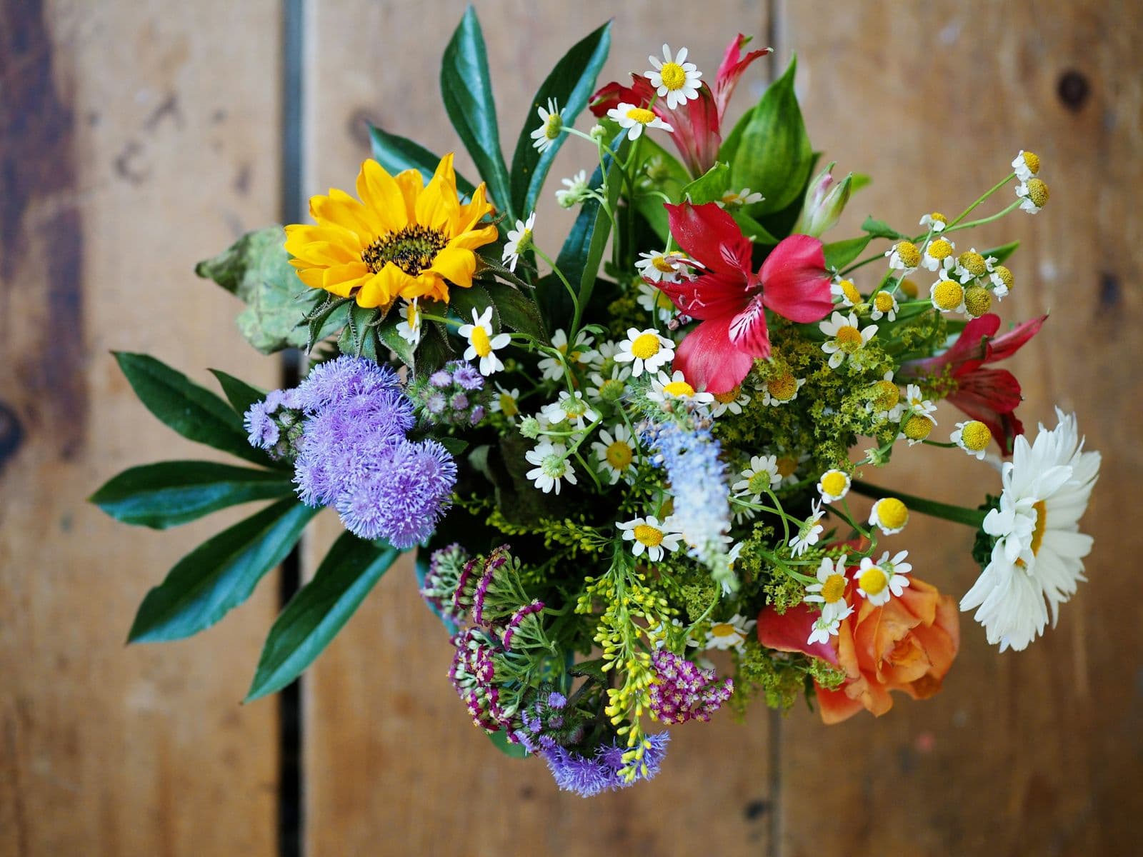 A generous bunch of seasonal cut garden flowers gathered together in soft natural daylight