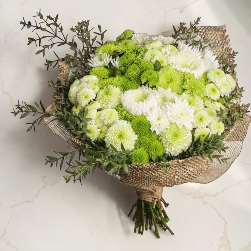 Just Chrysanthemum
