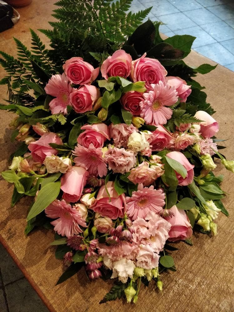 Pink Sheaf — Edith Wilmot, Bristol