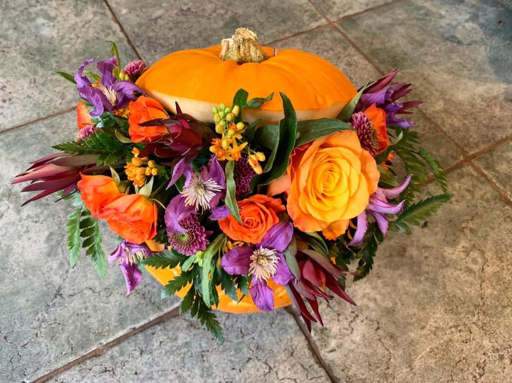 Pumpkin Arrangement — Edith Wilmot, Bristol