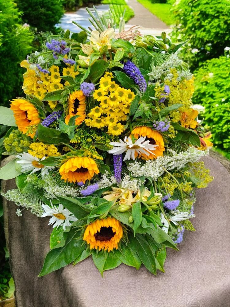 Sunflower Sheaf Photoroom — Edith Wilmot, Bristol