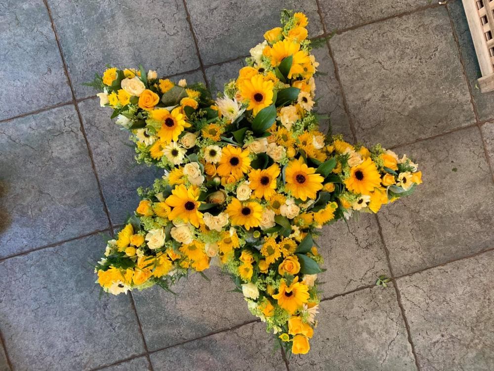 Yellow Star — Edith Wilmot, Bristol