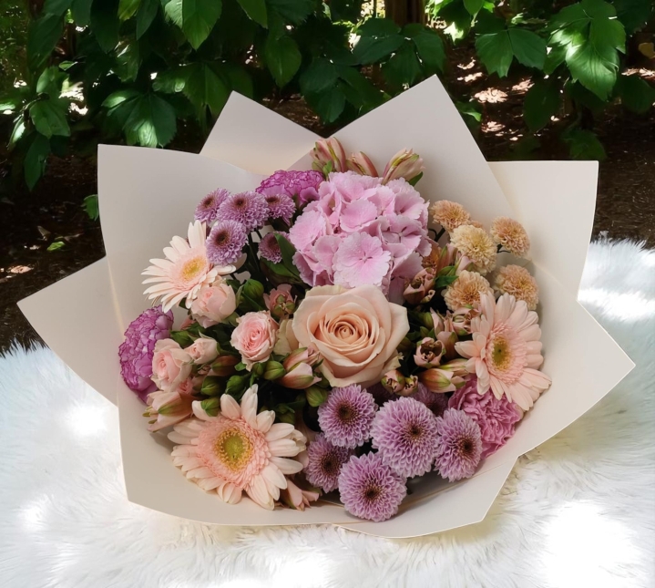 Blush Harmony