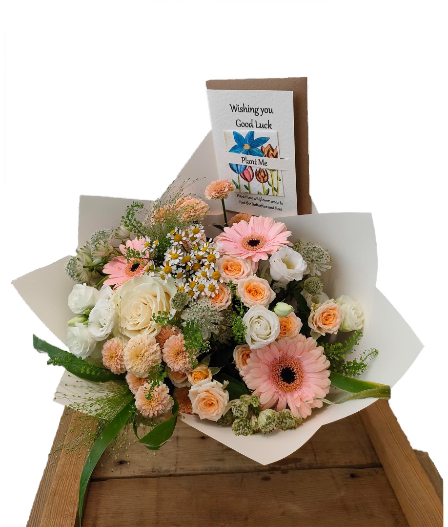 Pastel gift set