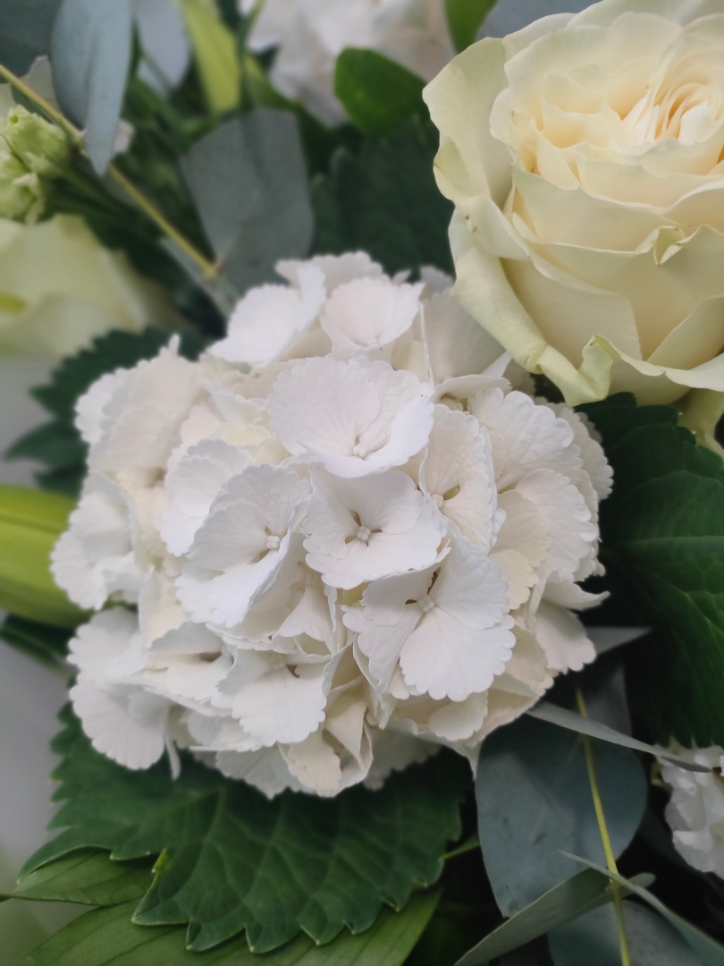 White Grace