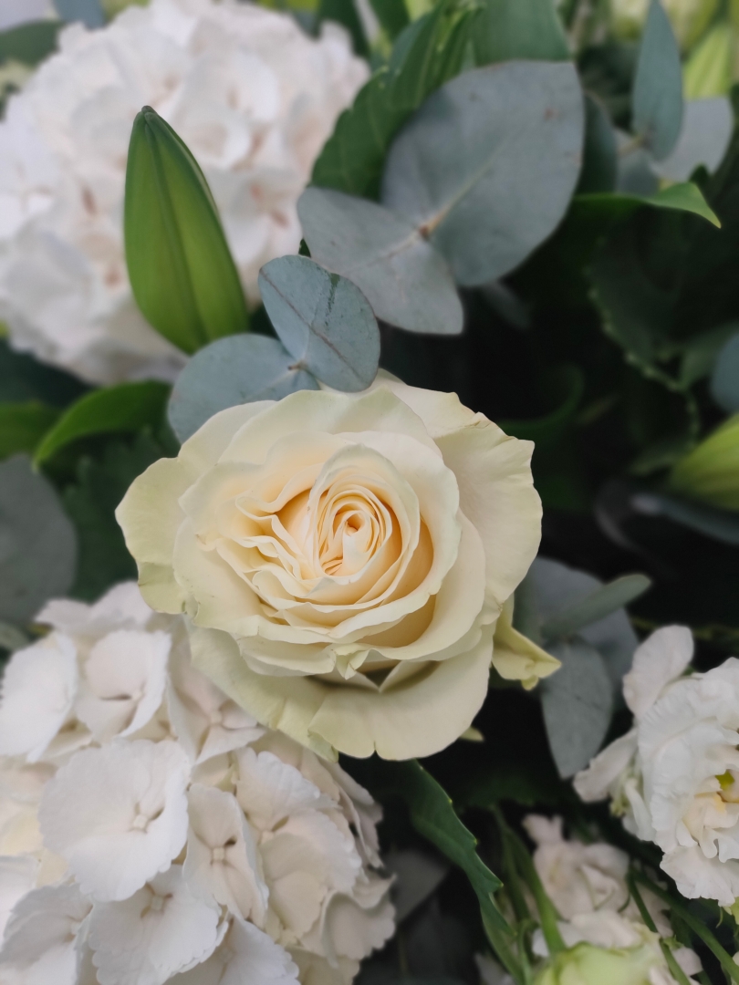 White Grace