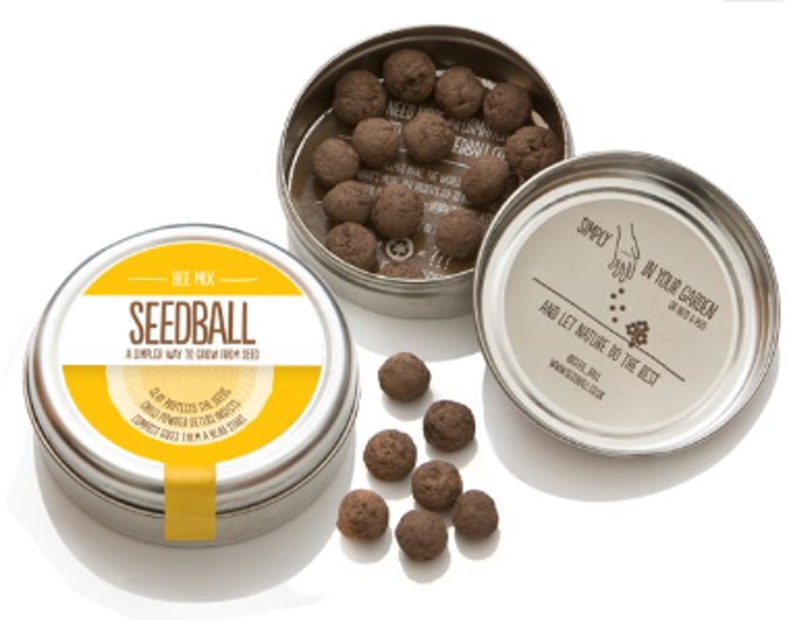 Seedball tin