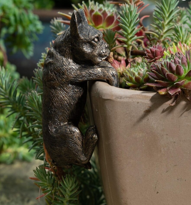 Pot Buddies