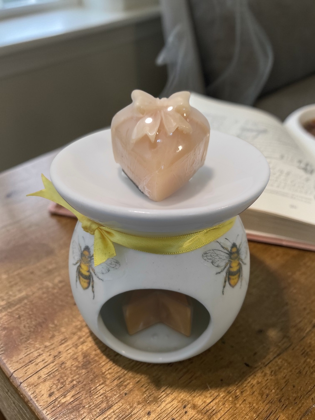 Bees Wax Melt Burner Gift Set