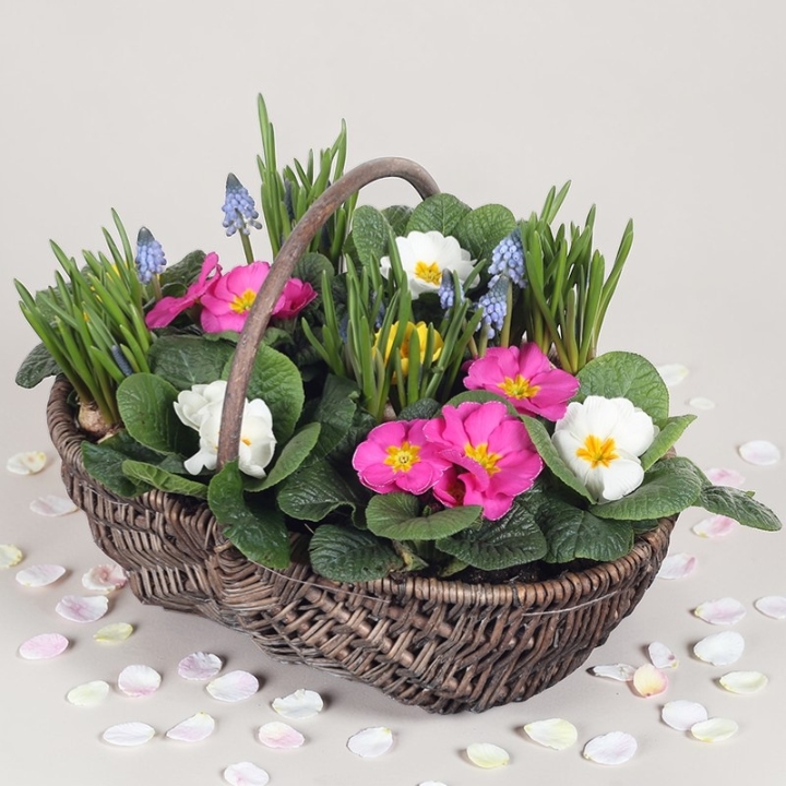 Mother’s Day Spring Basket