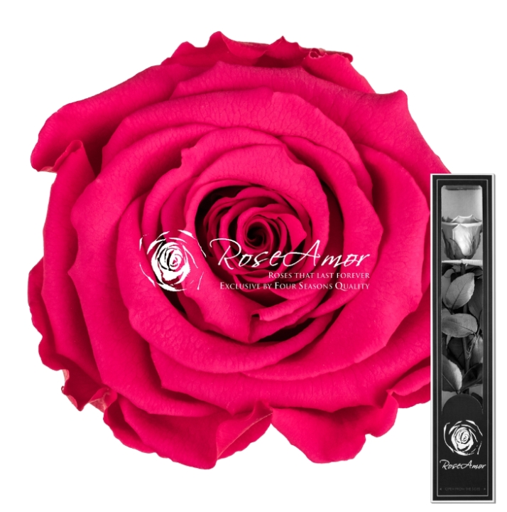 Preserved rose 70 cm   Pink03