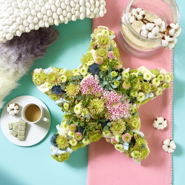 Snowflake Star Display