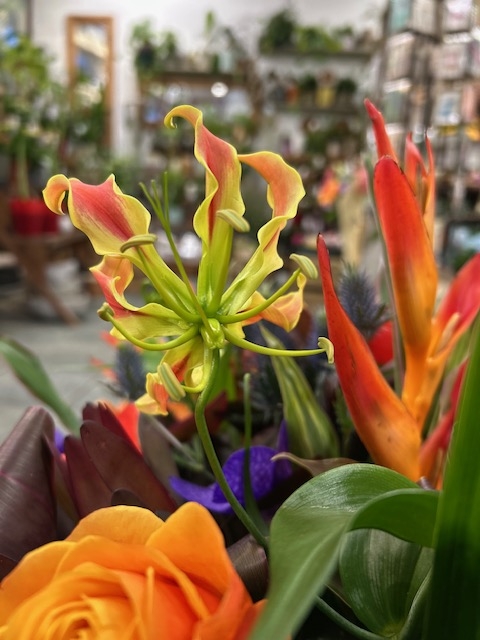 “Exotic Elegance” Casket Spray