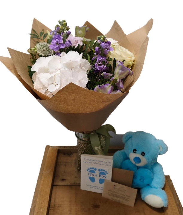Baby boy gift set