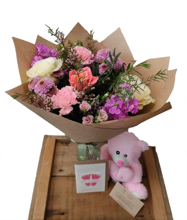 Baby girl gift set