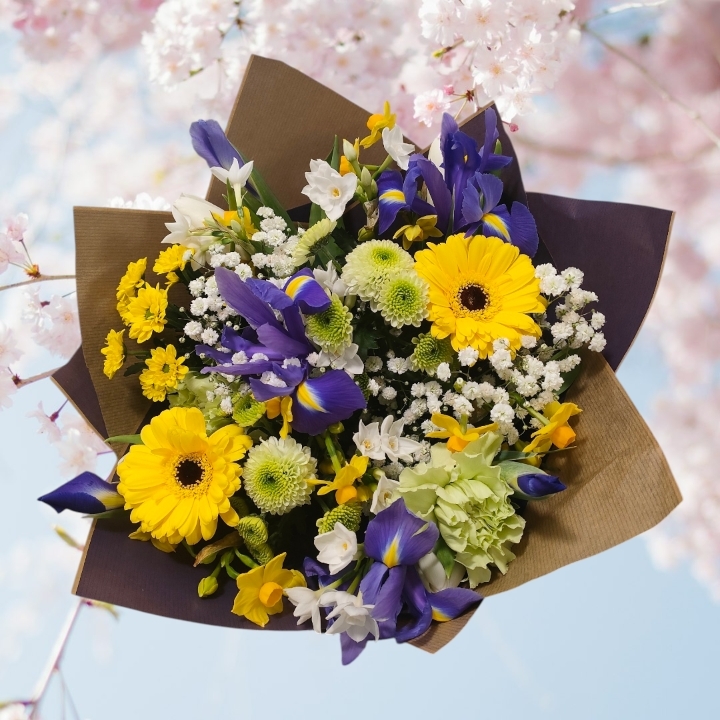 Mother’s Day Spring Radiance