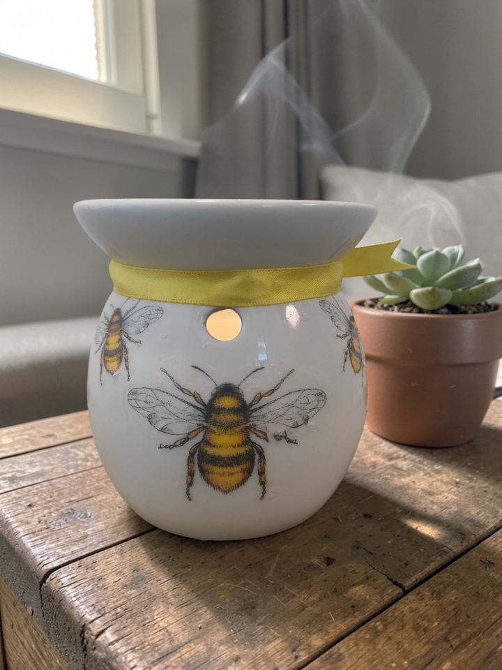 Bees Wax Melt Burner Gift Set