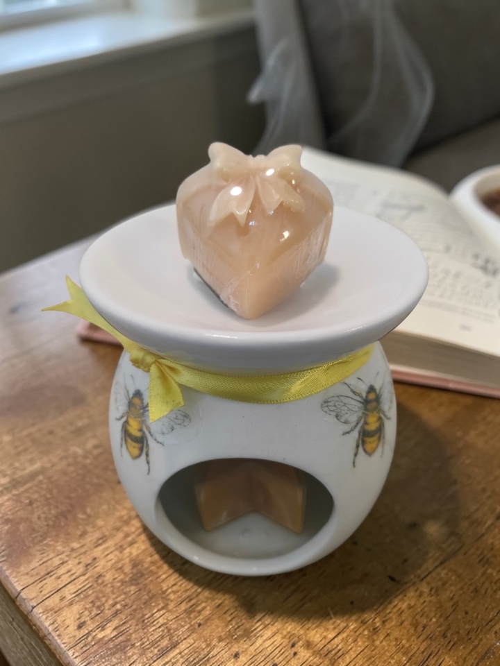 Bees Wax Melt Burner Gift Set