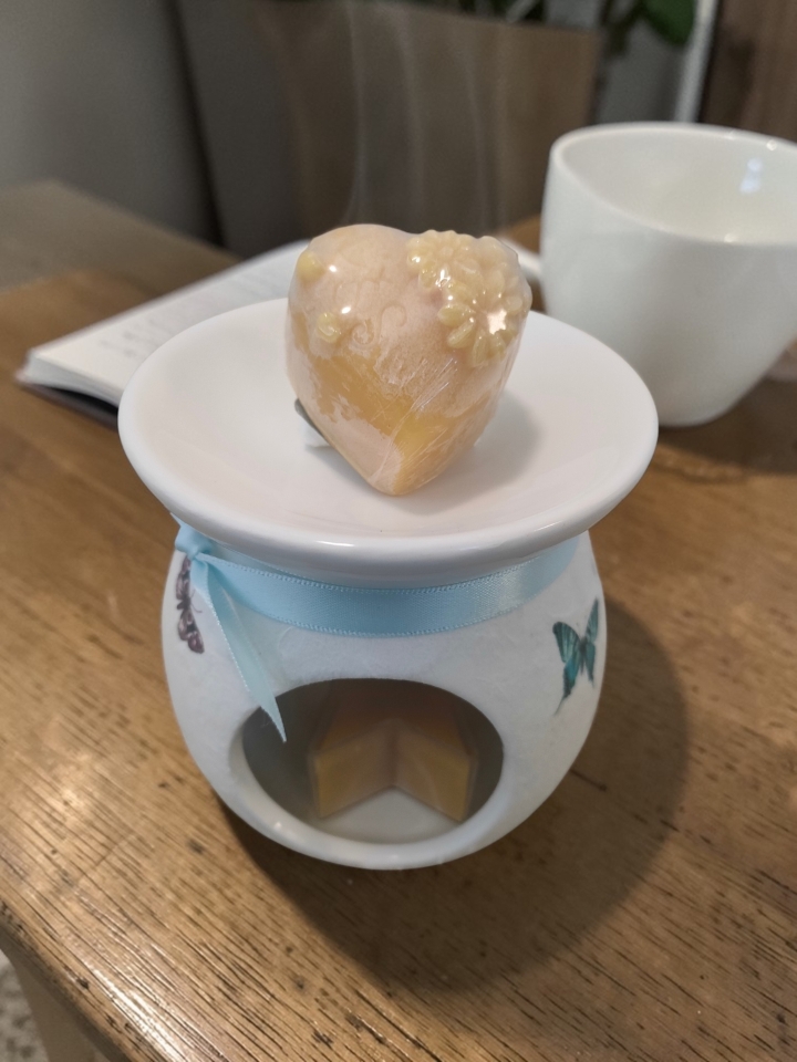 Butterfly Wax Melt Burner Gift Set