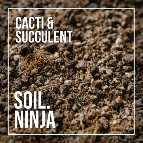 Cacti and Succulent Blend 2.5l