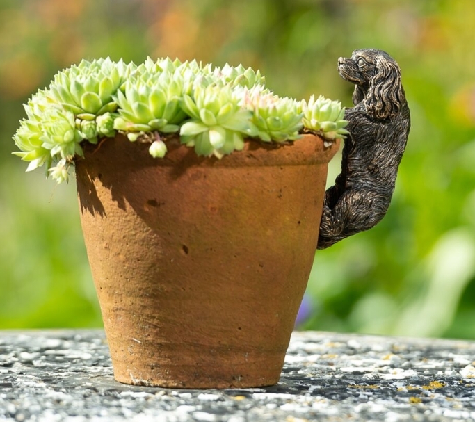 Cavalier King Charles Spaniel Pot Buddy