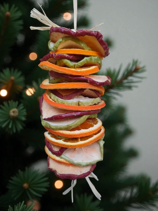 Dried Fruit Slices Tree Decoration 🍊🍎