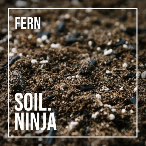 Fern Blend 2.5l