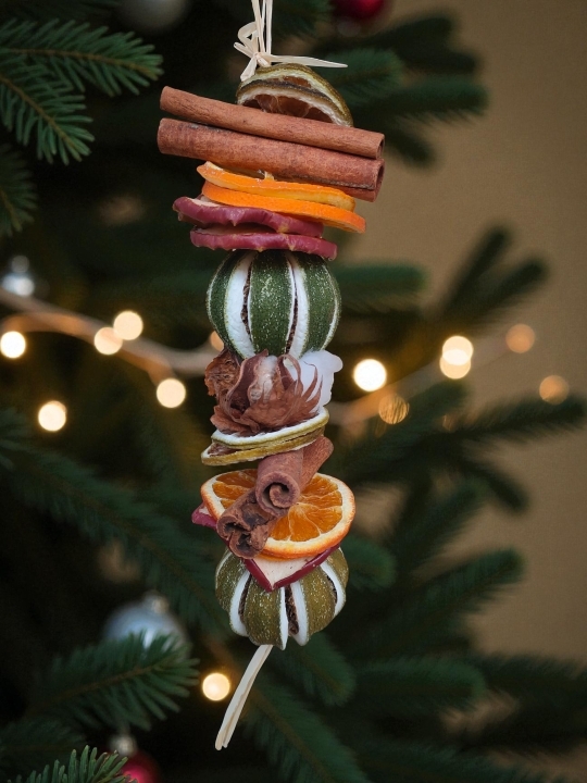 Festive Citrus & Spice Christmas Decoration 🍏🍊🌿