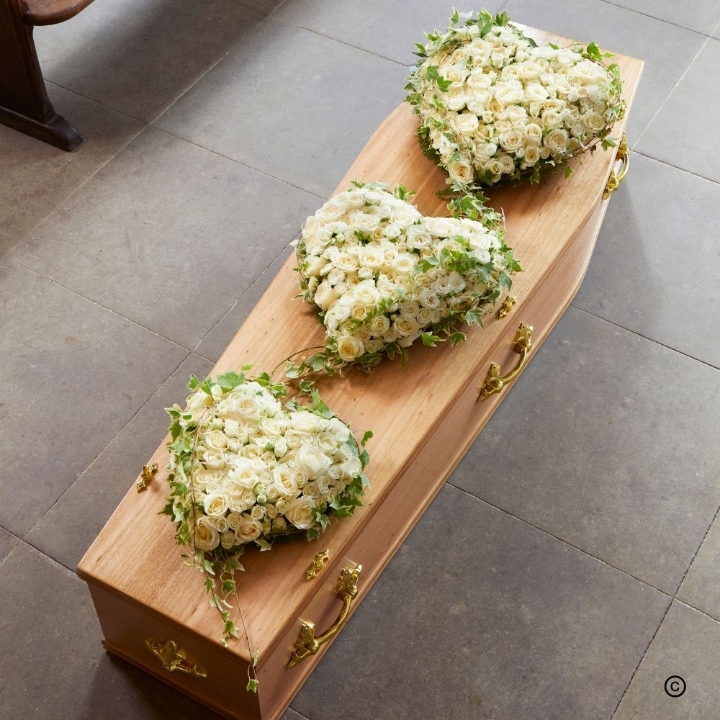 Forever in Our Hearts