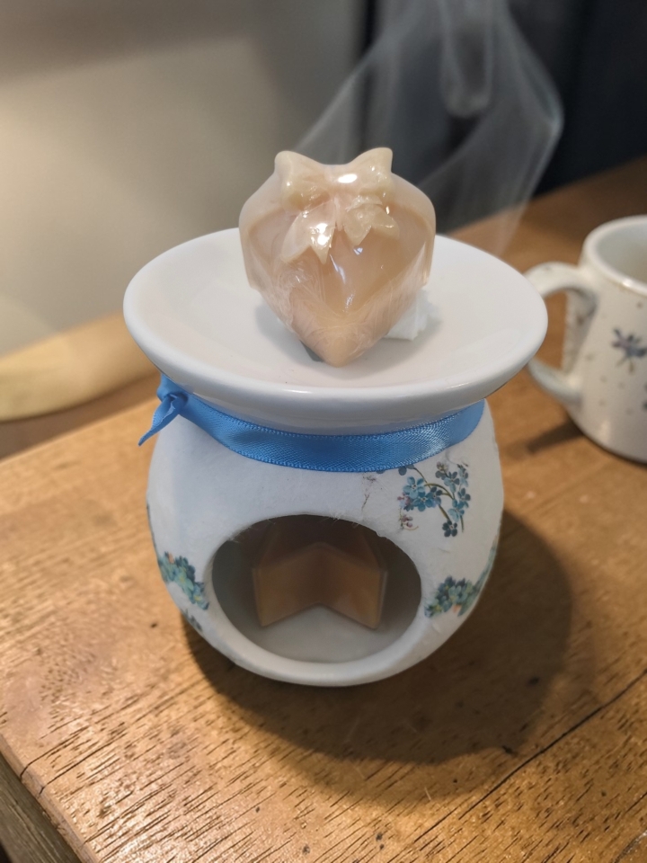 Forget me not Wax Melt Burner Gift set