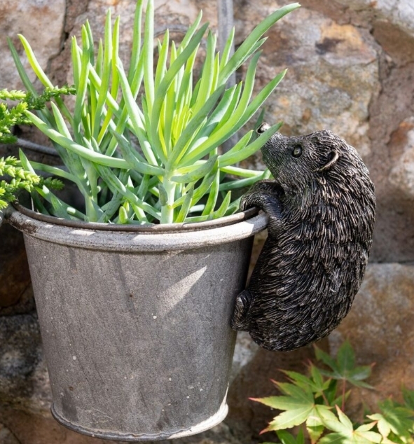 Hedgehog Pot Buddy