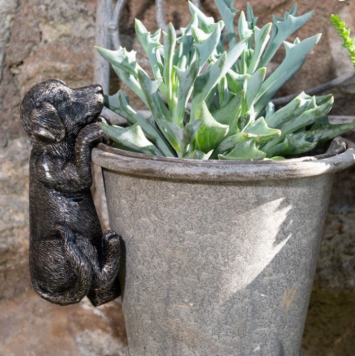 Labrador Pot Buddy