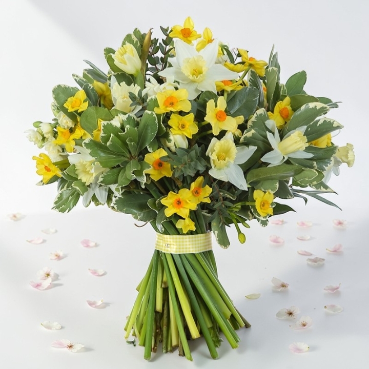 Mother’s Day Sunshine & Snow