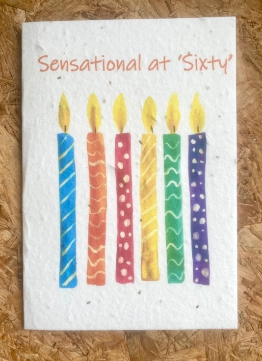 Seeded greetings card Birthday   Sensational at Sixty