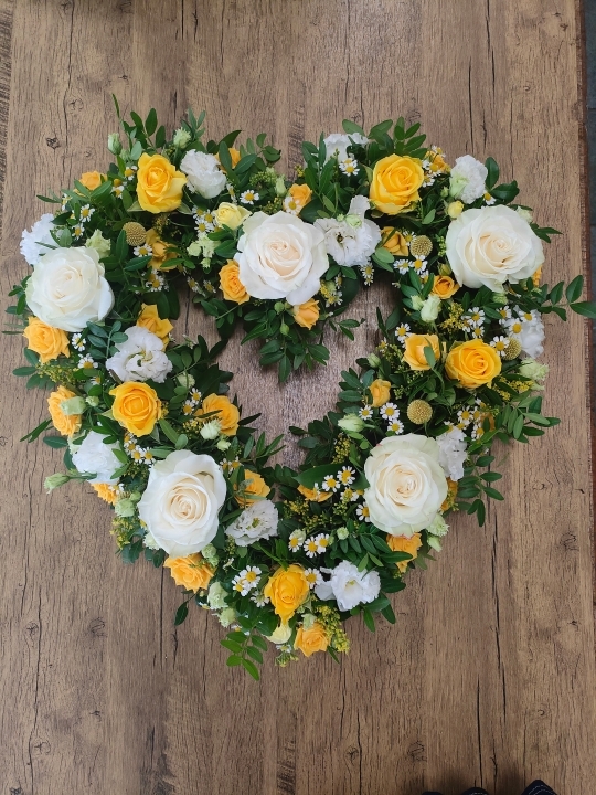 Sunlit Heart   Open Heart Tribute