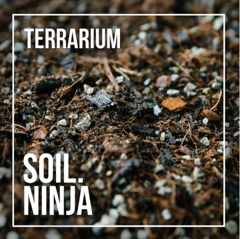 Terrarium Blend 2.5l