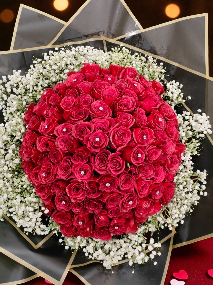 Valentine’s Royal Romance – 100 Red Roses with White Gypsophila Collar